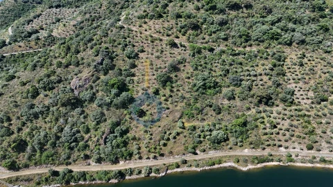 Terreno Agricola ou Rústico para Venda em Vilar Chão