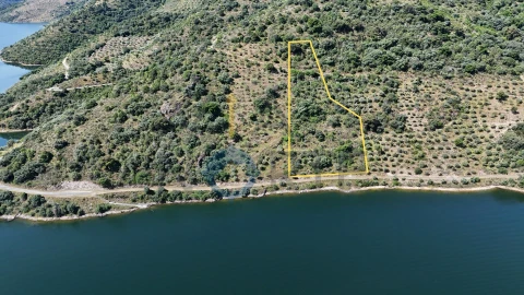 Terreno Agricola ou Rústico para Venda em Vilar Chão