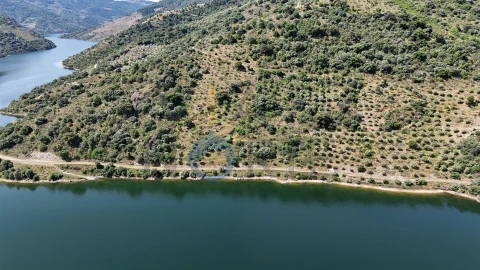 Terreno Agricola ou Rústico para Venda em Vilar Chão