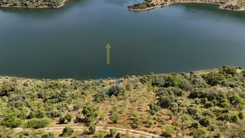 Terreno Agricola ou Rústico para Venda em Vilar Chão