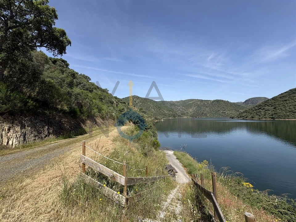 Terreno Agricola ou Rústico para Venda em Vilar Chão Foto 11