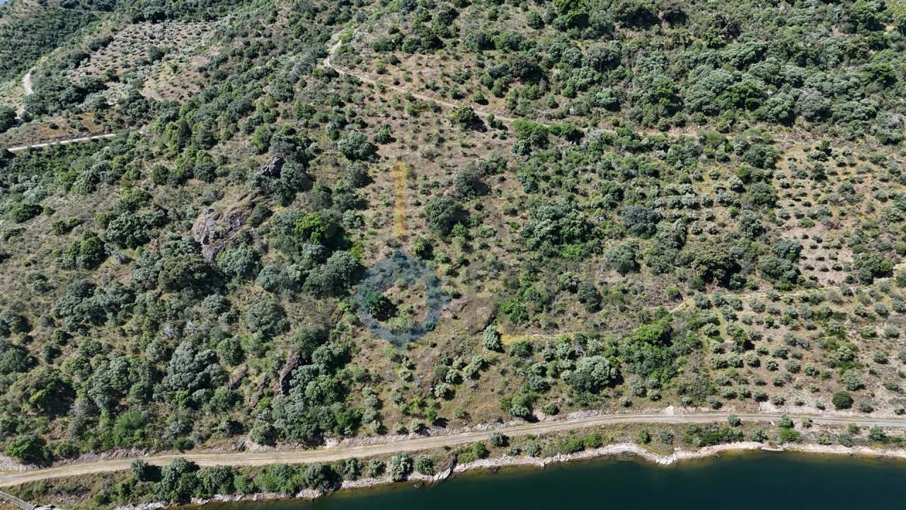 Terreno Agricola ou Rústico para Venda em Vilar Chão Foto 2
