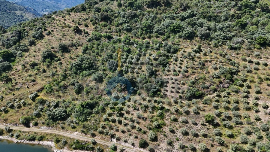 Terreno Agricola ou Rústico para Venda em Vilar Chão Foto 7