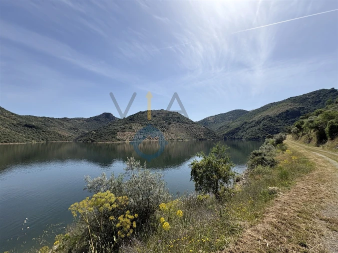 Terreno Agricola ou Rústico para Venda em Vilar Chão Foto 10