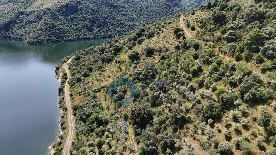 Terreno Agricola ou Rústico para Venda em Vilar Chão Foto 8