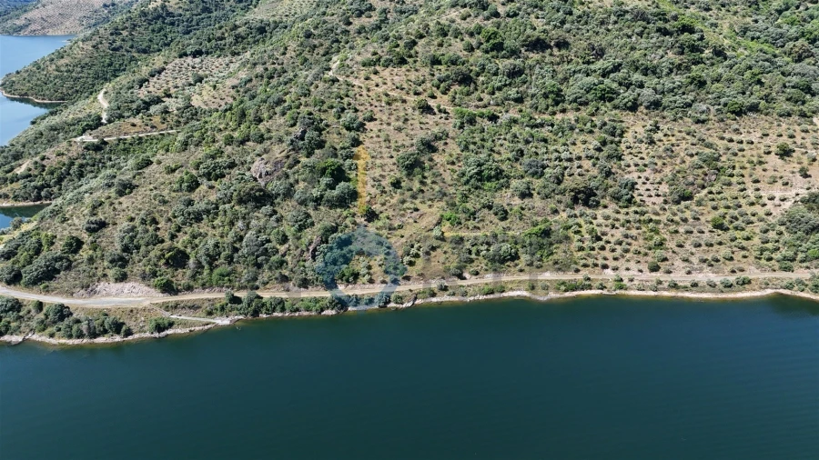 Terreno Agricola ou Rústico para Venda em Vilar Chão Foto 3