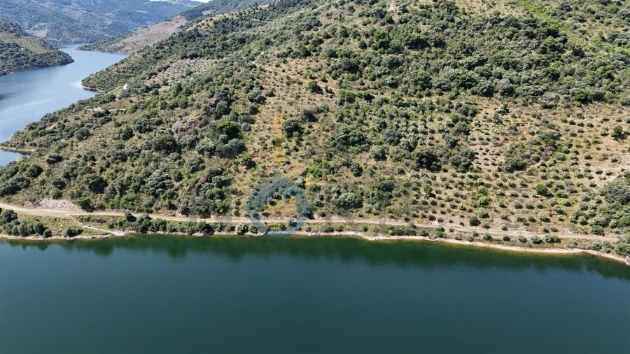 Terreno Agricola ou Rústico para Venda em Vilar Chão Foto 5