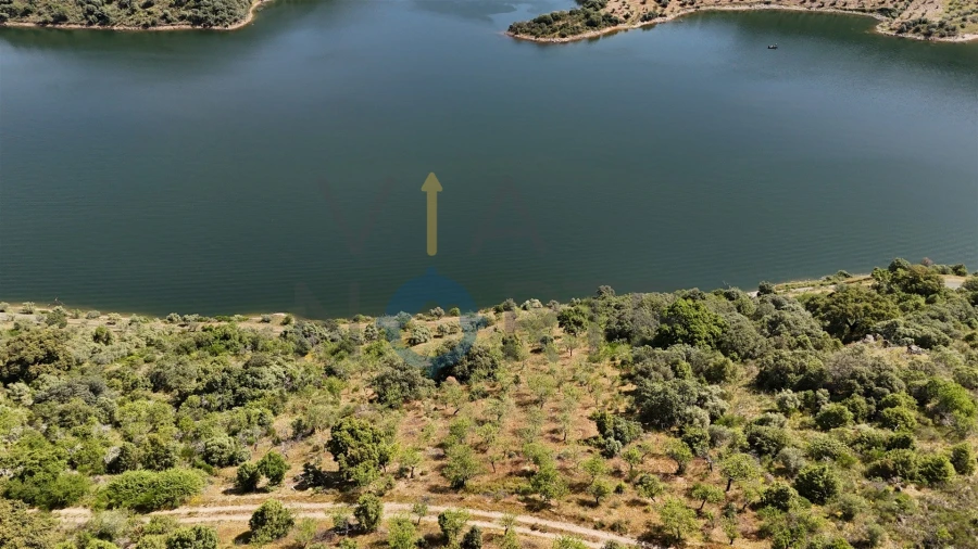 Terreno Agricola ou Rústico para Venda em Vilar Chão Foto 4