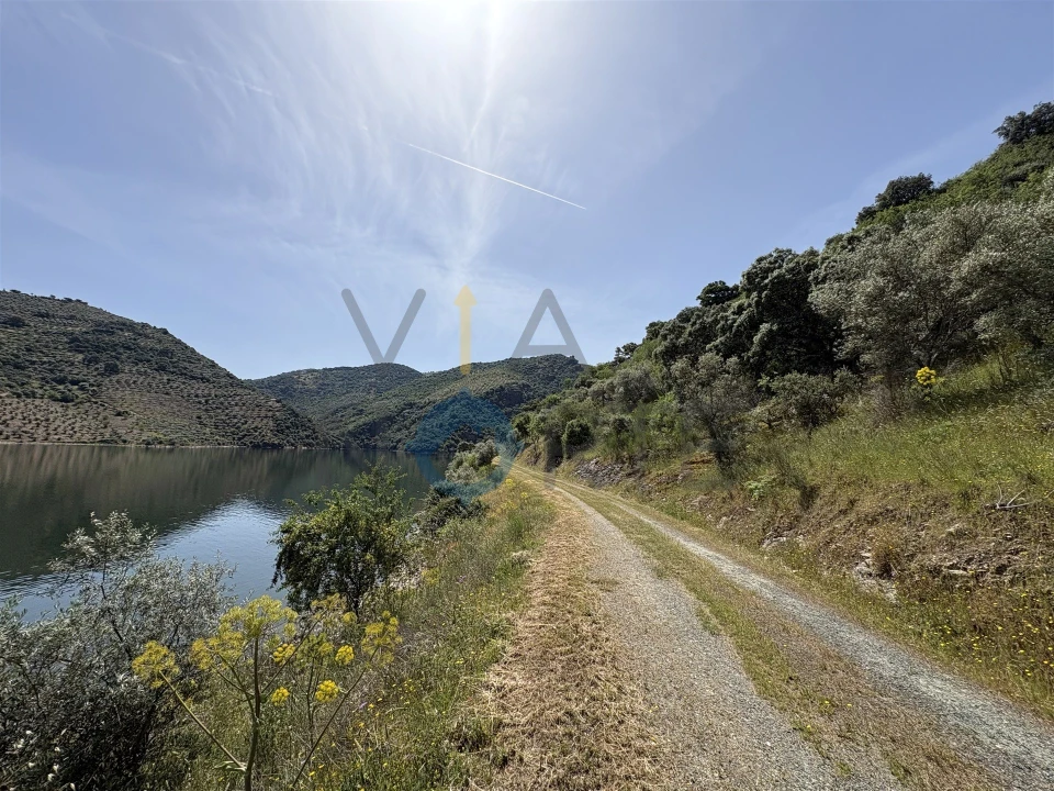 Terreno Agricola ou Rústico para Venda em Vilar Chão Foto 9