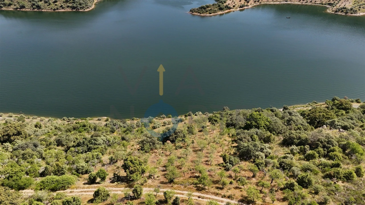 Terreno Agricola ou Rústico para Venda em Vilar Chão Foto 4