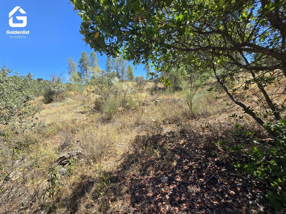 Terreno Agricola ou Rústico para Venda em Idanha-A-Nova e Alcafozes Foto 12