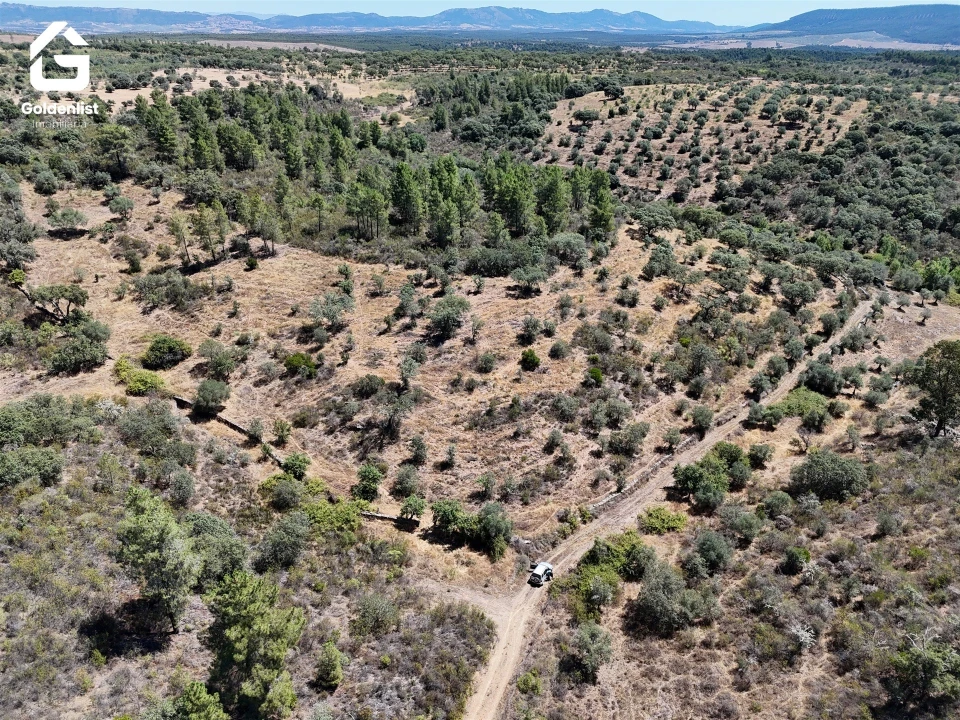 Terreno Agricola ou Rústico para Venda em Idanha-A-Nova e Alcafozes Foto 3