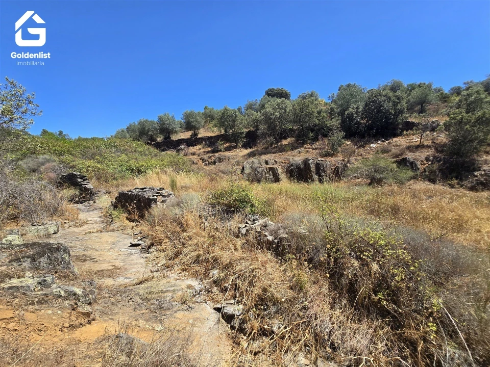 Terreno Agricola ou Rústico para Venda em Idanha-A-Nova e Alcafozes Foto 32