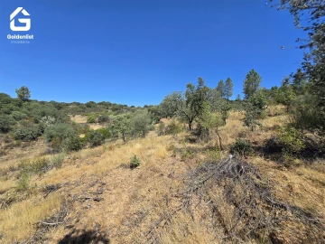 Terreno Agricola ou Rústico para Venda em Idanha-A-Nova e Alcafozes