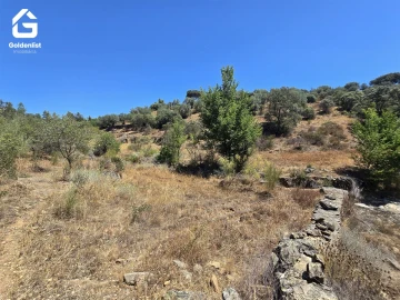 Terreno Agricola ou Rústico para Venda em Idanha-A-Nova e Alcafozes