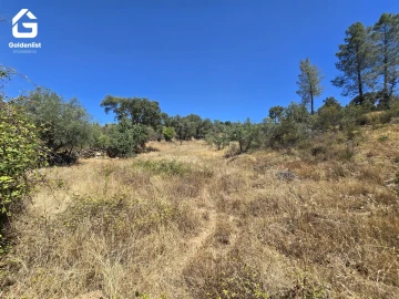 Terreno Agricola ou Rústico para Venda em Idanha-A-Nova e Alcafozes