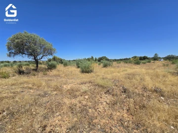 Terreno Agricola ou Rústico para Venda em Idanha-A-Nova e Alcafozes