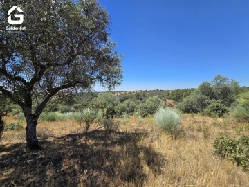 Terreno Agricola ou Rústico para Venda em Idanha-A-Nova e Alcafozes