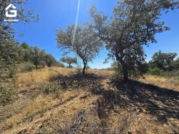 Terreno Agricola ou Rústico para Venda em Idanha-A-Nova e Alcafozes
