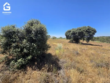 Terreno Agricola ou Rústico para Venda em Idanha-A-Nova e Alcafozes