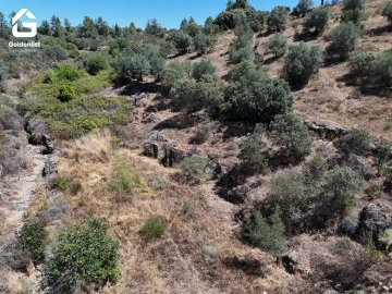 Terreno Agricola ou Rústico para Venda em Idanha-A-Nova e Alcafozes