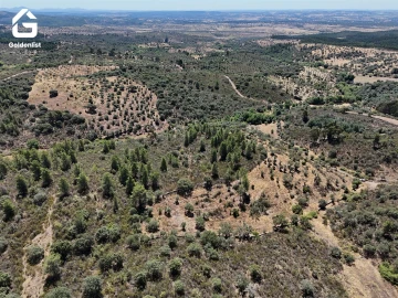 Terreno Agricola ou Rústico para Venda em Idanha-A-Nova e Alcafozes