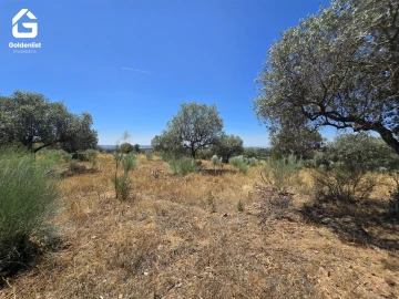 Terreno Agricola ou Rústico para Venda em Idanha-A-Nova e Alcafozes
