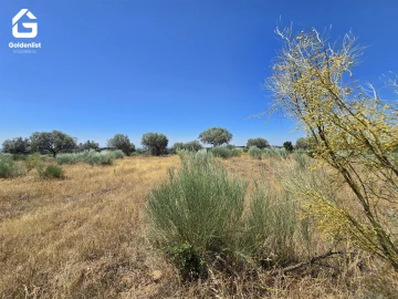 Terreno Agricola ou Rústico para Venda em Idanha-A-Nova e Alcafozes