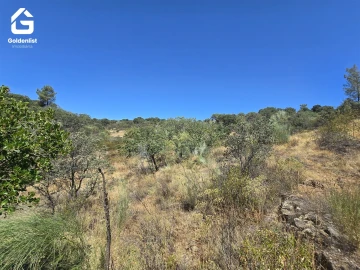 Terreno Agricola ou Rústico para Venda em Idanha-A-Nova e Alcafozes