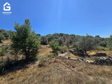 Terreno Agricola ou Rústico para Venda em Idanha-A-Nova e Alcafozes