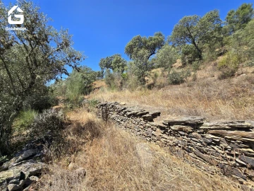 Terreno Agricola ou Rústico para Venda em Idanha-A-Nova e Alcafozes