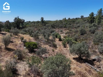 Terreno Agricola ou Rústico para Venda em Idanha-A-Nova e Alcafozes