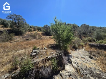 Terreno Agricola ou Rústico para Venda em Idanha-A-Nova e Alcafozes