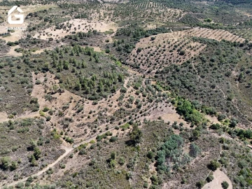 Terreno Agricola ou Rústico para Venda em Idanha-A-Nova e Alcafozes