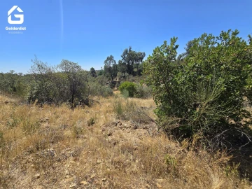 Terreno Agricola ou Rústico para Venda em Idanha-A-Nova e Alcafozes
