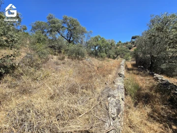 Terreno Agricola ou Rústico para Venda em Idanha-A-Nova e Alcafozes