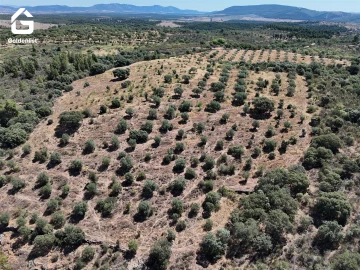 Terreno Agricola ou Rústico para Venda em Idanha-A-Nova e Alcafozes