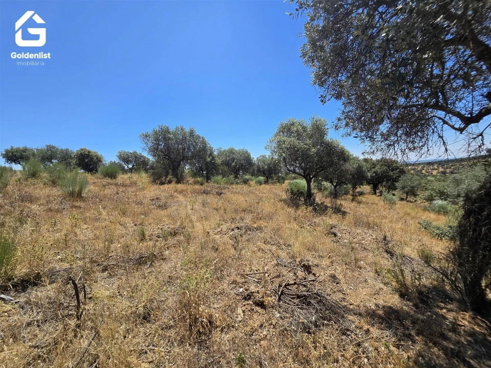 Terreno Agricola ou Rústico para Venda em Idanha-A-Nova e Alcafozes Foto 47