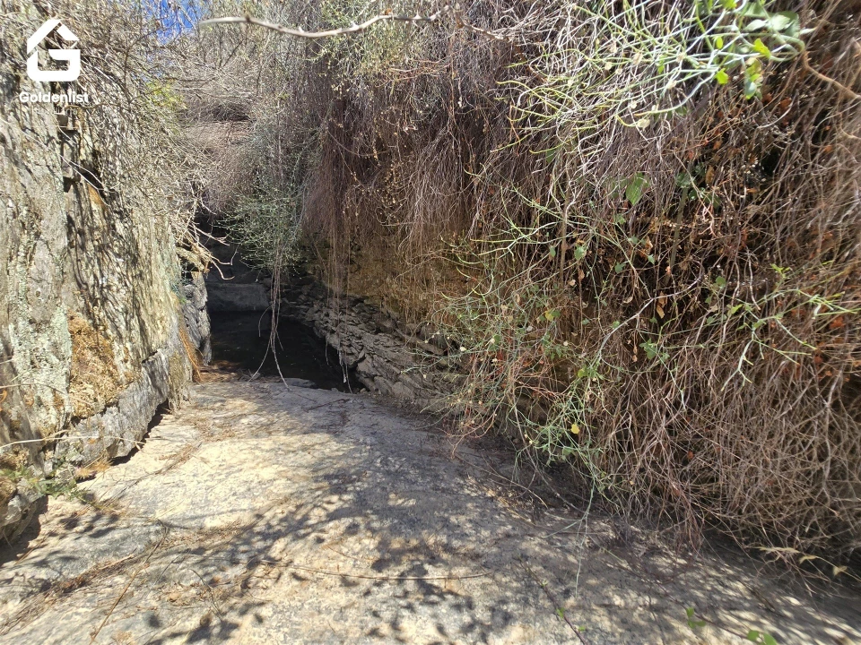 Terreno Agricola ou Rústico para Venda em Idanha-A-Nova e Alcafozes Foto 33