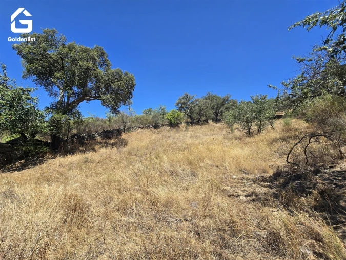 Terreno Agricola ou Rústico para Venda em Idanha-A-Nova e Alcafozes Foto 18