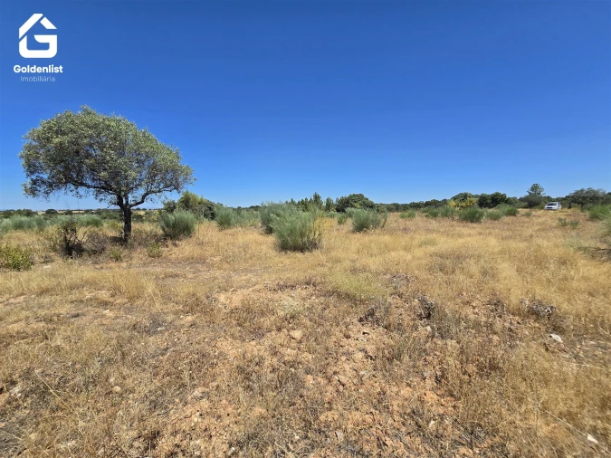 Terreno Agricola ou Rústico para Venda em Idanha-A-Nova e Alcafozes Foto 49