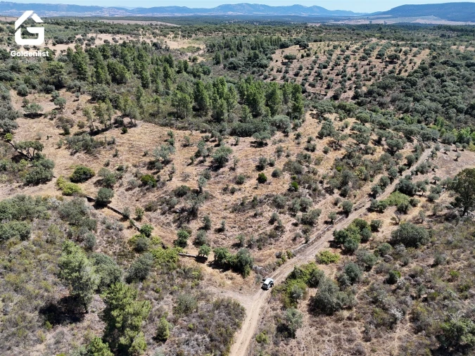 Terreno Agricola ou Rústico para Venda em Idanha-A-Nova e Alcafozes Foto 3