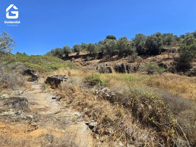 Terreno Agricola ou Rústico para Venda em Idanha-A-Nova e Alcafozes Foto 32