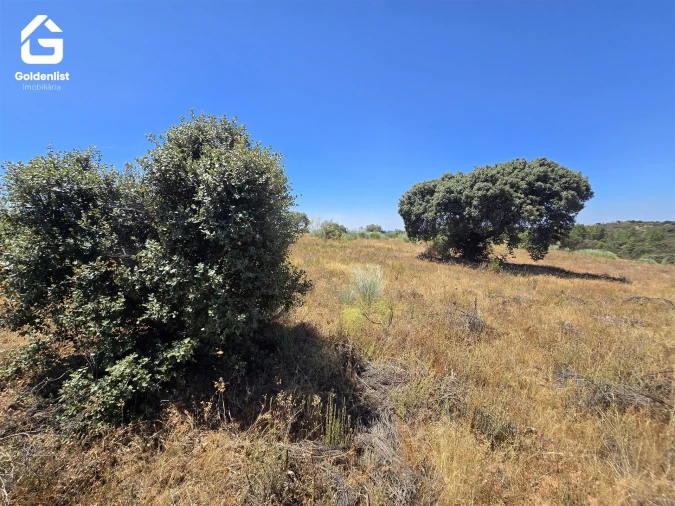Terreno Agricola ou Rústico para Venda em Idanha-A-Nova e Alcafozes Foto 43