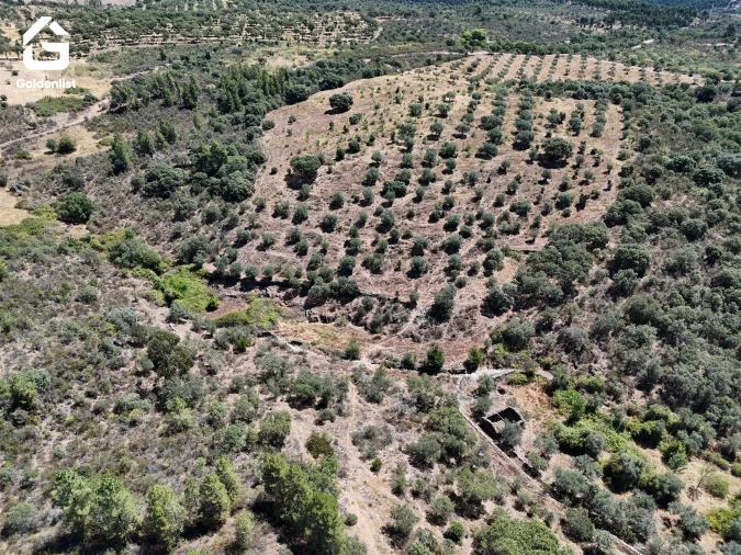 Terreno Agricola ou Rústico para Venda em Idanha-A-Nova e Alcafozes Foto 27