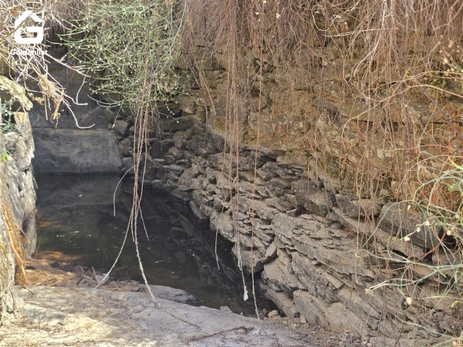 Terreno Agricola ou Rústico para Venda em Idanha-A-Nova e Alcafozes Foto 34