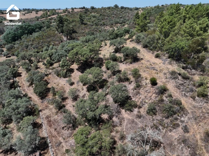 Terreno Agricola ou Rústico para Venda em Idanha-A-Nova e Alcafozes Foto 6