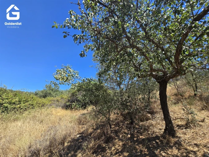Terreno Agricola ou Rústico para Venda em Idanha-A-Nova e Alcafozes Foto 16