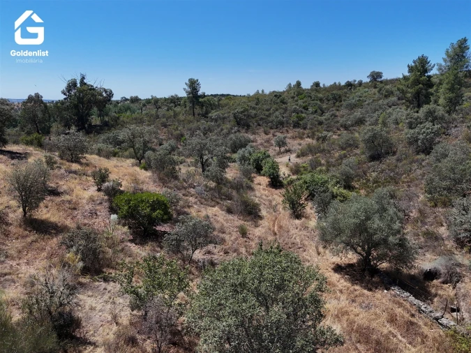 Terreno Agricola ou Rústico para Venda em Idanha-A-Nova e Alcafozes Foto 5