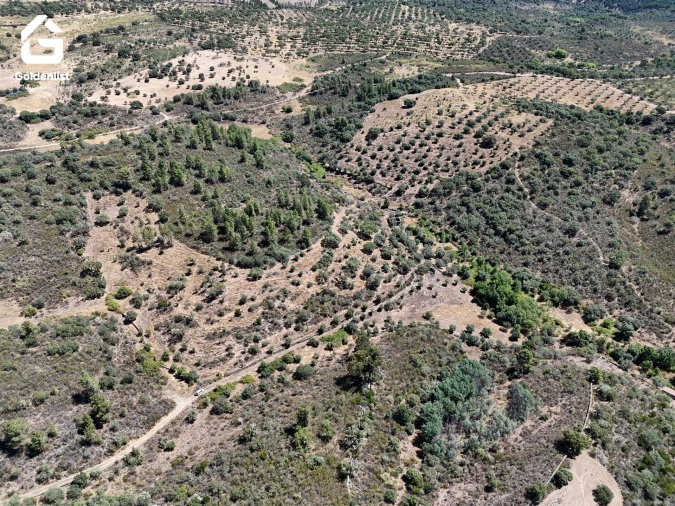 Terreno Agricola ou Rústico para Venda em Idanha-A-Nova e Alcafozes Foto 51